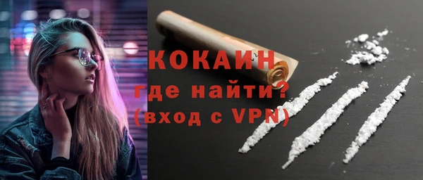 прущие грибы Богородицк