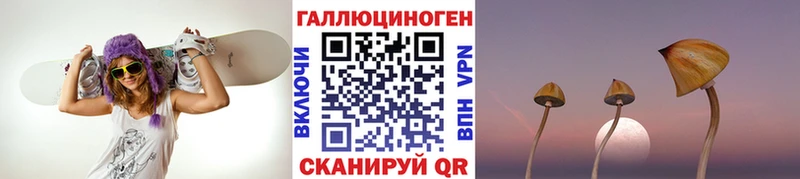 Галлюциногенные грибы GOLDEN TEACHER Купить Козельск
